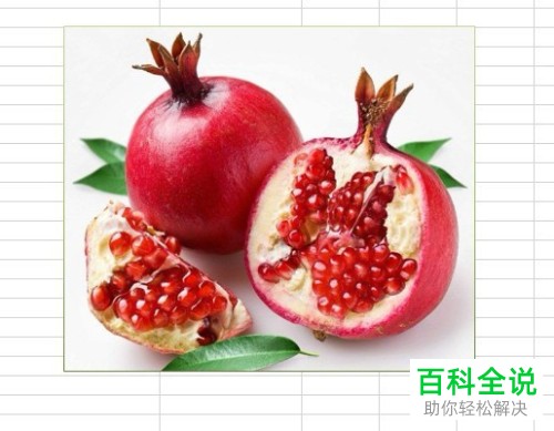 如何在excel2019中添加图片的边框