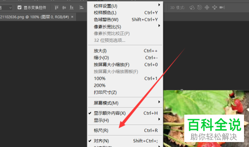如何在photoshop中将标尺工具调出