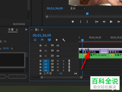 如何在pr2019软件中统一调整字幕格式