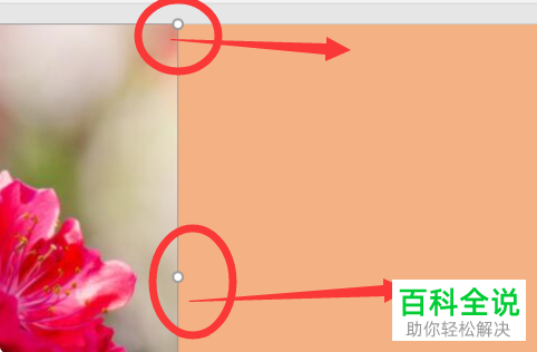 如何在PPT文档中插入图片并铺满幻灯片