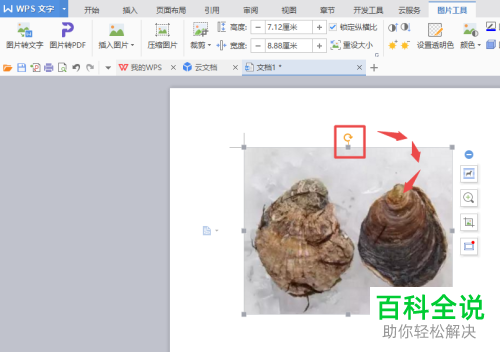 如何在wps文字中插入图片并旋转？