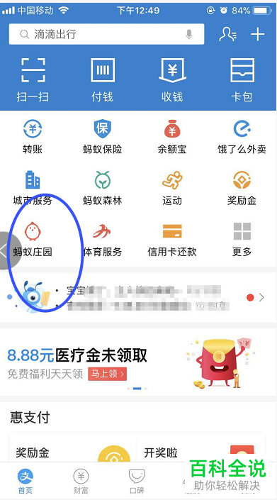 如何在支付宝蚂蚁庄园中进行公益捐赠？