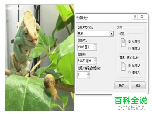 如何转换GIF动图为视频