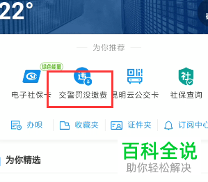 如何在手机支付宝上缴费罚单