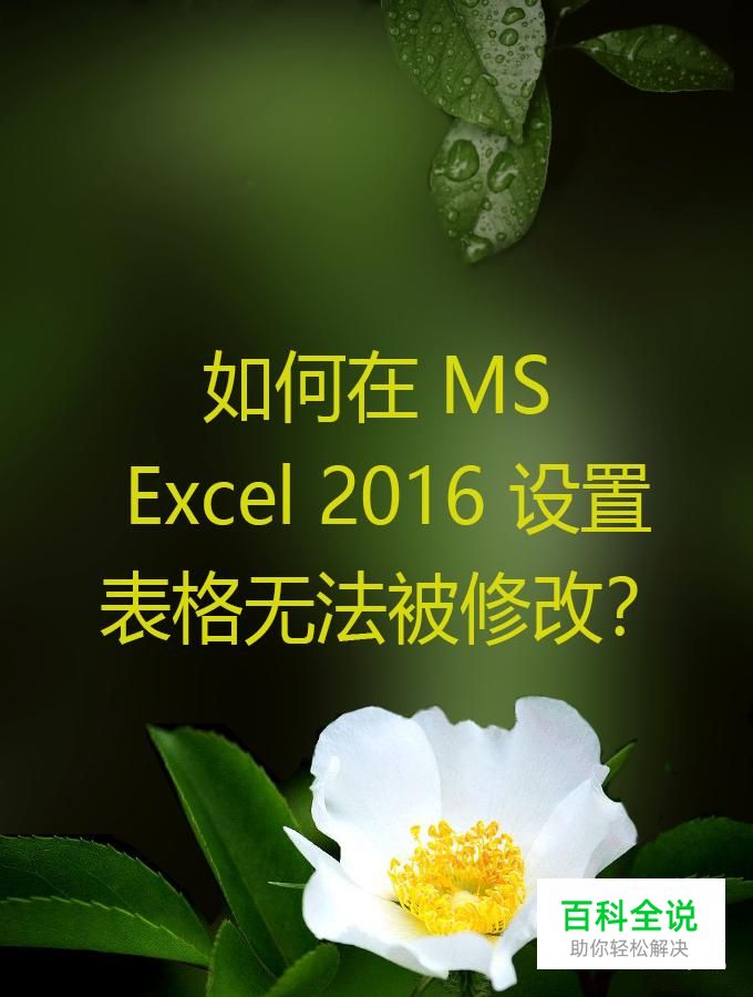 如何在 MS Excel 2016 设置表格无法被修改？