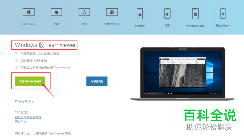 如何在电脑上下载安装TeamViewer？