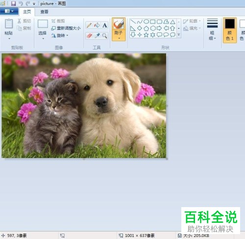 如何在画图工具中进行图片剪裁?