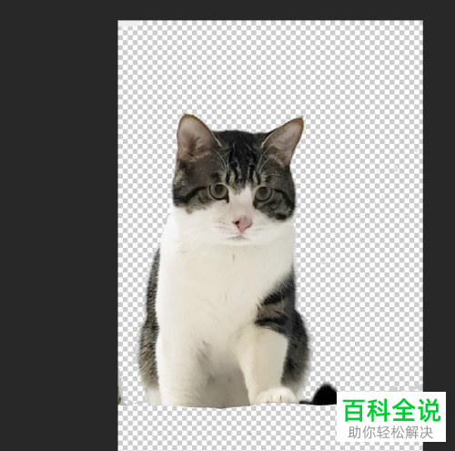 如何在PS软件中将图片保存为png格式