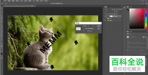 如何在PS中给图片添加水印