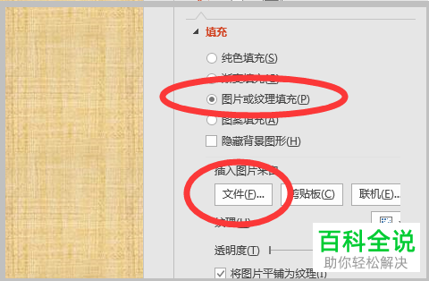 如何在PPT文档中插入图片并铺满幻灯片