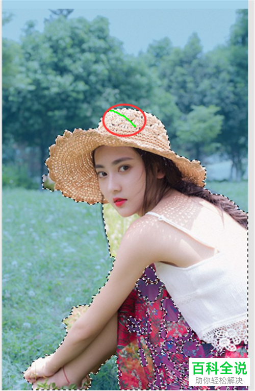 如何在电脑版美图秀秀中将图片背景设置为白色？