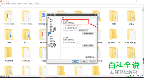 如何在Win系统中启用Everything搜索工具中的搜索历史记录功能