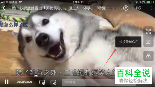 如何在手机B站哔哩哔哩中截GIF动图