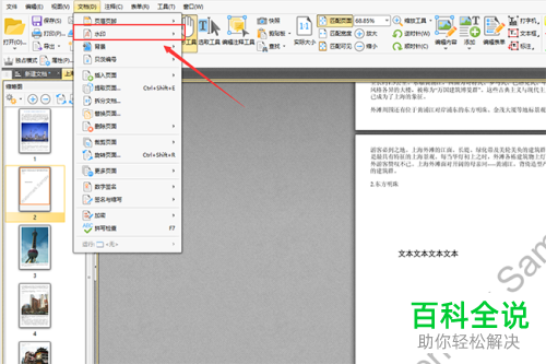 如何在PDF编辑器中删除PDF文件上的水印？