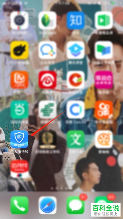 如何在个人所得税app中查询自己的收入纳税明细