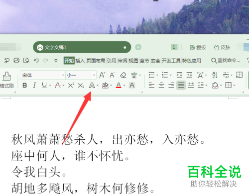 如何在WPS2019文字里添加阴影效果文字？