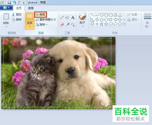 如何在画图工具中进行图片剪裁?