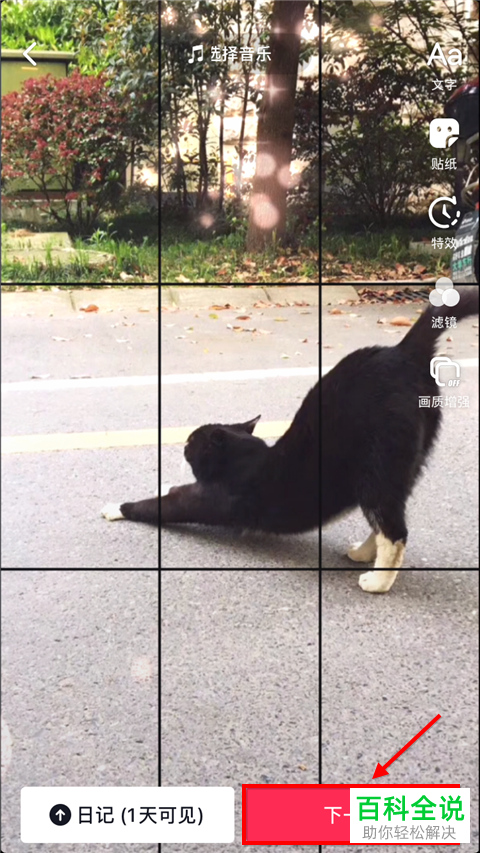 如何在抖音中制作一张照片的视频