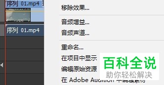 如何在pr的视频中修改音频？
