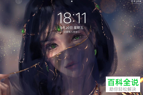 如何在苹果iPad平板中双开软件