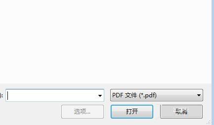 如何在PDF页面右侧显示内容?