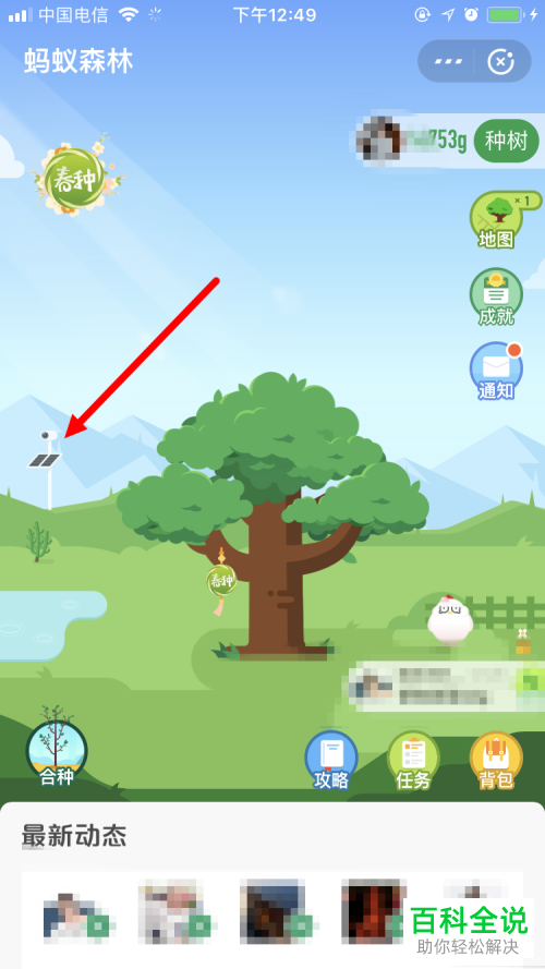 如何在蚂蚁森林中查看电子眼拍摄的实景相册?