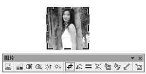 如何在PowerPiont里面裁剪图片?