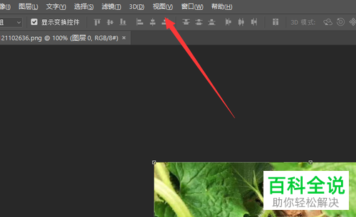 如何在photoshop中将标尺工具调出