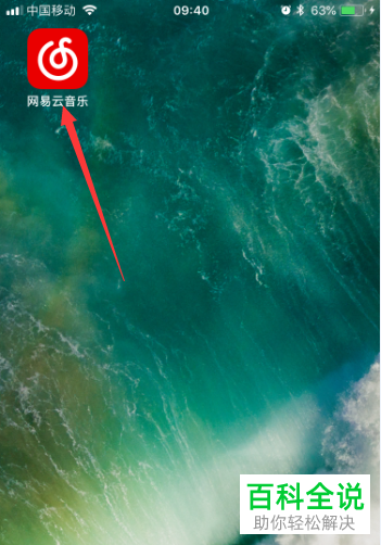 如何在网易云音乐中设置使用234G网络播放？