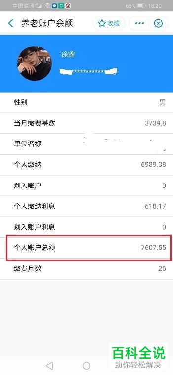 如何在支付宝中查询养老账户的余额