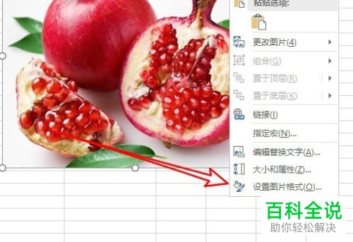 如何在excel2019中添加图片的边框