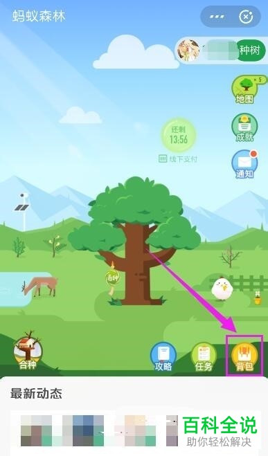 如何在蚂蚁森林中使用时光加速器?