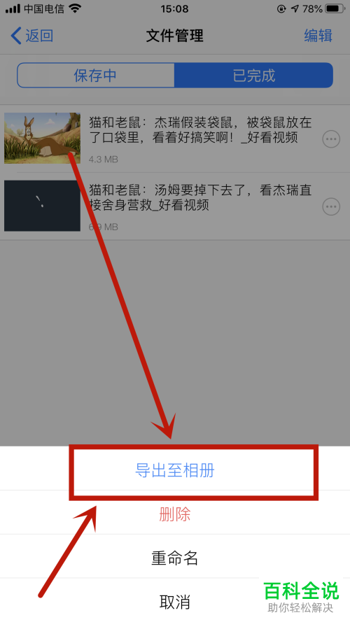 如何在iOS版的Safari中将视频保存到本地