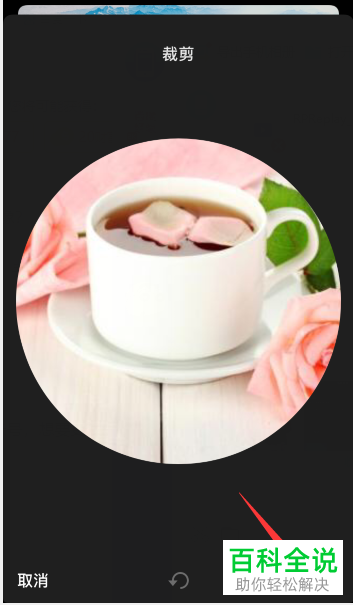 如何在抖音APP中更换自己的头像