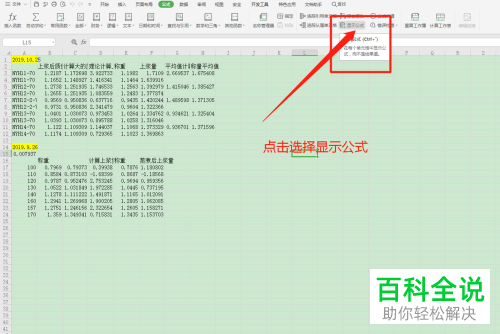 如何在Excel表格中设置显示所有公式