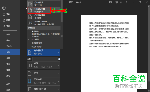 如何只打印word文档中选中的内容