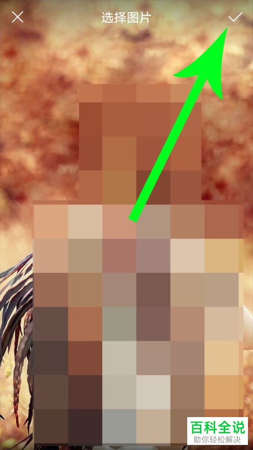 如何在TapTap中发表个人动态？