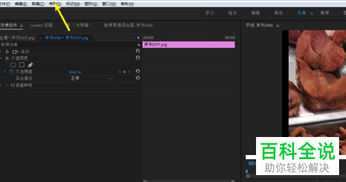 如何在PR软件中设置序列的时基
