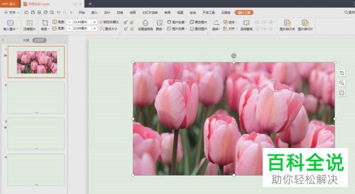如何在PPT文档中插入图片并添加描边