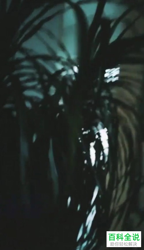 如何在抖音app中将自己的视频作品应用为手机动态壁纸？