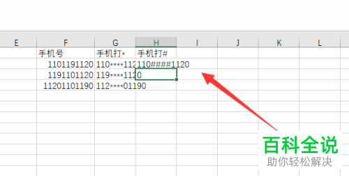 如何在电脑版Excel中打码隐私数字