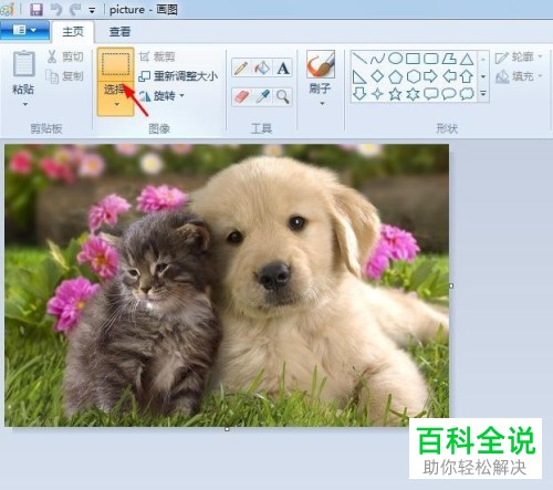 如何在画图工具中进行图片剪裁?