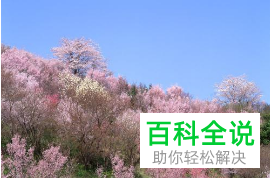 如何在电脑上修改打印图片的大小