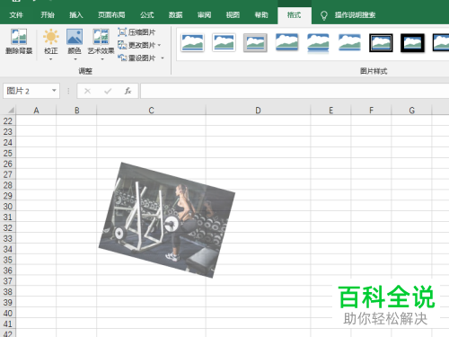 如何在excel2019中将图片插入到工作表格里？