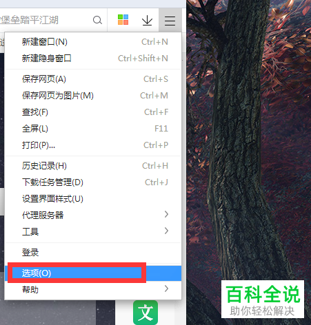 如何在360极速浏览器中查看已经保存的网站账号密码