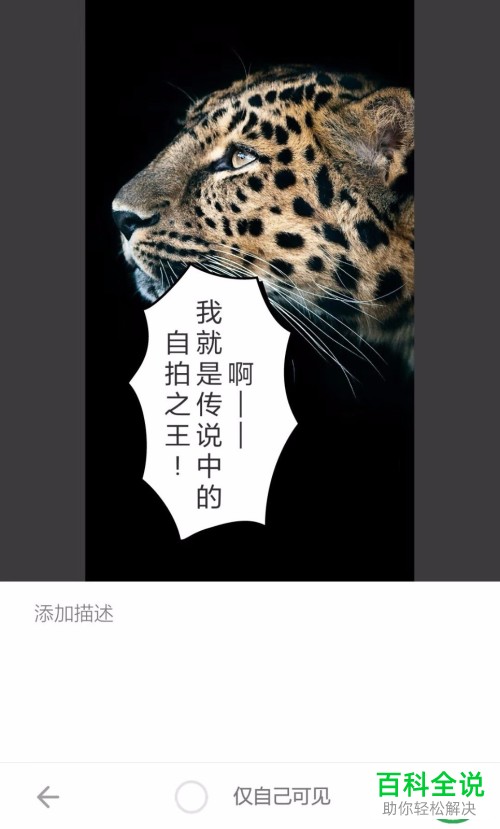 如何在黄油相机App中添加贴纸