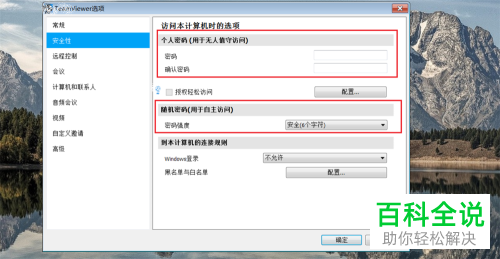 如何在Windows上使用TeamViewer？