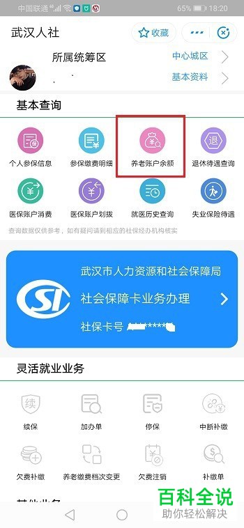 如何在支付宝中查询养老账户的余额