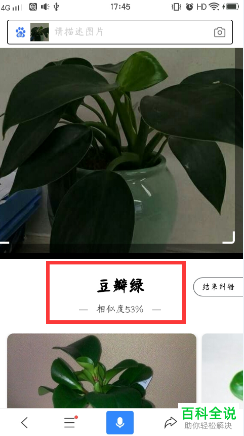 如何在百度app中通过图片识别一种花？