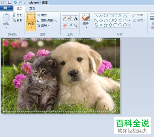 如何在画图工具中进行图片剪裁?